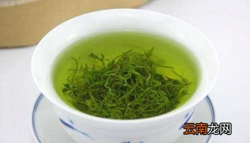 什么人不能喝绞股蓝茶