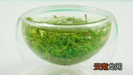 什么人不能喝绞股蓝茶