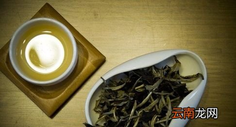 普洱生普和熟普哪个好