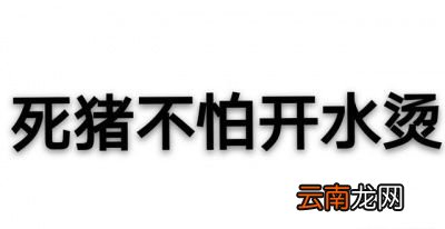 推荐预防非洲猪瘟的消毒液