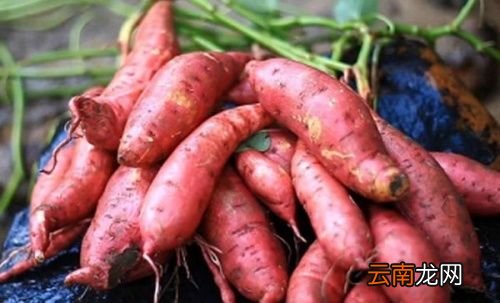 鸡蛋红薯可以同时吃吗