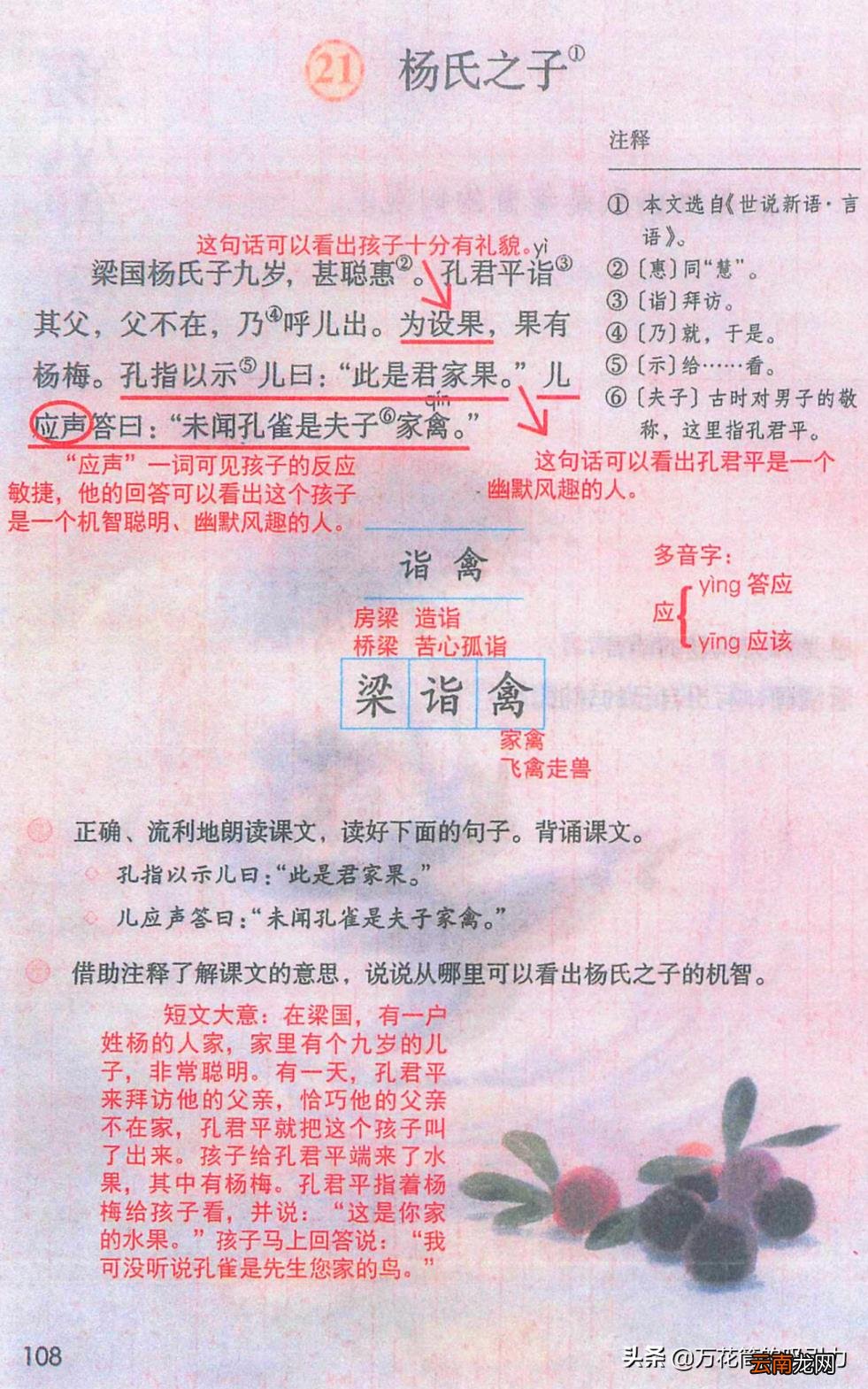 梁国杨氏子九岁,甚聪惠