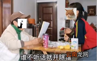 三年级作文假如我会变 三年级作文假如我会变150字