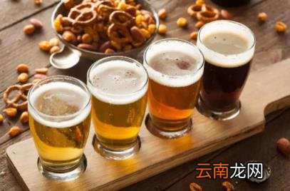 1瓶啤酒多久可以开车测不出酒精 1瓶啤酒几小时吹不出来酒驾