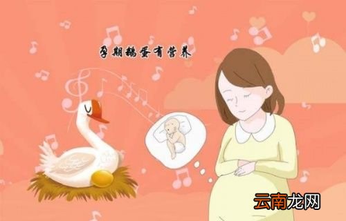 怀孕几个月吃鹅蛋最佳