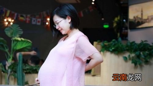 刚刚怀孕可以吃鹅蛋吗