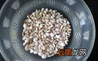 红豆薏米减肥法真的有效吗