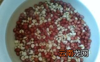 红豆薏米减肥法真的有效吗