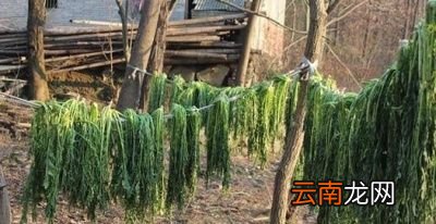 腌雪里蕻制作技巧总结