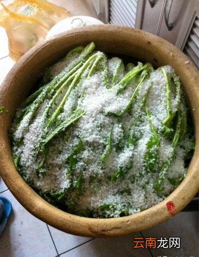 腌雪里蕻制作技巧总结