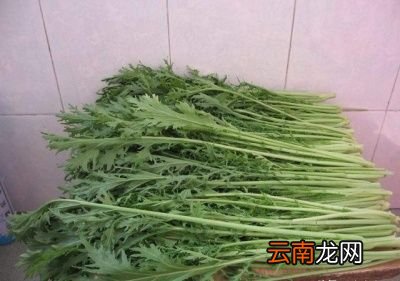 腌雪里蕻制作技巧总结