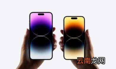 iPhone14ProMax为什么卖得这么好 iPhone14ProMax成预售冠军吗