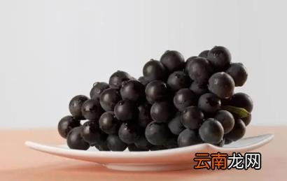 葡萄皮有什么营养 葡萄皮的功效与作用及食用方法