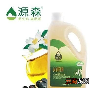 茶油与橄榄油有什么区别