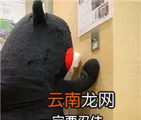 谁说一口一个的小汤圆不美味
