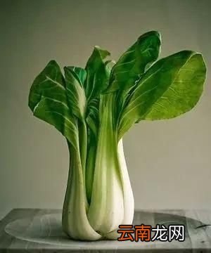 谁说一口一个的小汤圆不美味