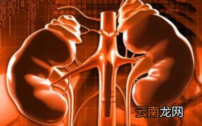 止痛药对肾脏有多少危害 止痛药吃多了会导致肾衰竭吗