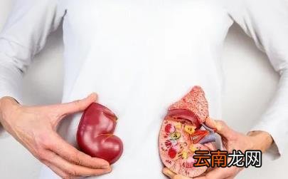 止痛药对肾脏有多少危害 止痛药吃多了会导致肾衰竭吗