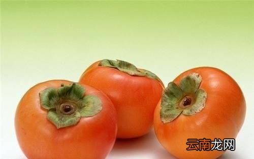 柿子不能和牛肉一起吃是真的吗