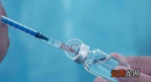 关于疫苗的注意事项有什么