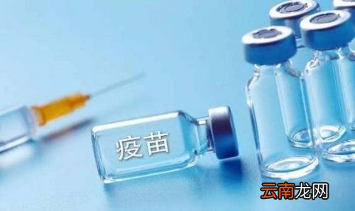 关于疫苗的注意事项有什么