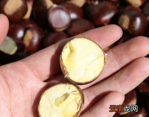 怎么在空气炸锅里做栗子