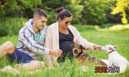 产后适合做凯格尔运动吗