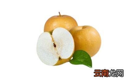 秋月梨放冰箱还是常温 秋月梨是常温保存还是冷藏保存
