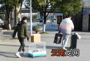 2023春节七天改为15天了吗 2023年春节假期会延长吗