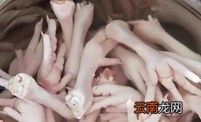 市面上很多鸡爪鸭爪是从哪里来的安不安全