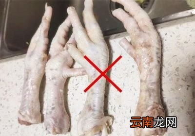 这么多的鸡爪从哪里来的