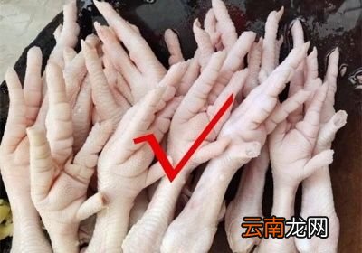 这么多的鸡爪从哪里来的