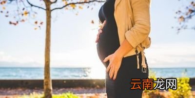 红菜有什么营养价值呢