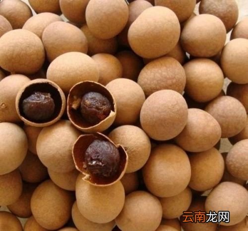 桂圆怎么吃才是最好的