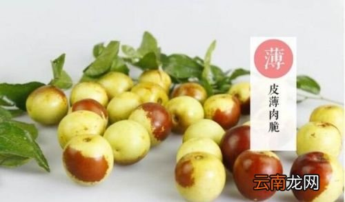 冬枣吃了有什么好处呢