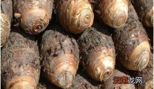小芋头和荔浦芋头区别