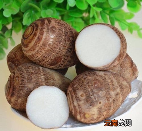 正宗荔浦芋头和普通芋头的区别