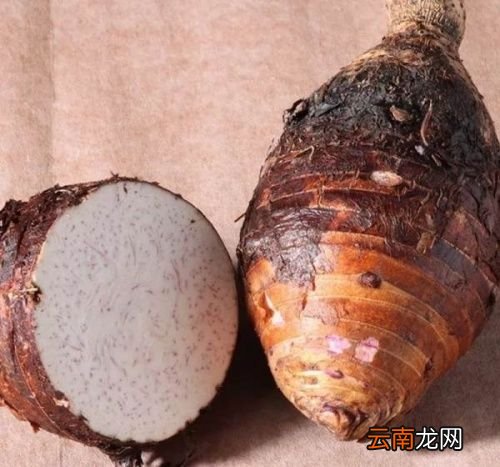 荔浦芋头和小芋头区别