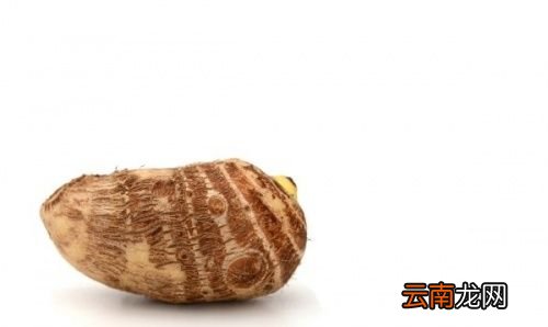 荔浦芋头就是大芋头吗