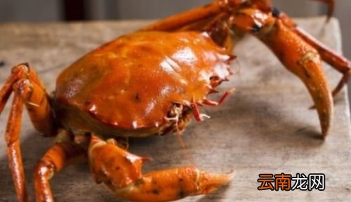 螃蟹适合和什么水果吃