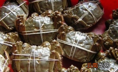 螃蟹与什么水果吃合适