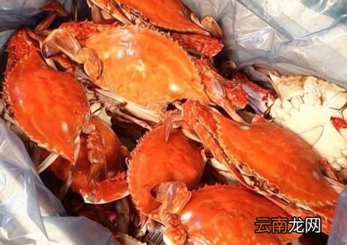 螃蟹与什么水果吃合适