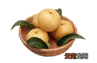 秋月梨和丰水梨区别 秋月梨和丰水梨是一个品种吗