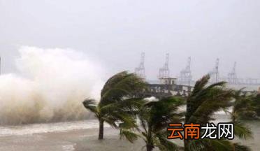 台风“梅花”对浙江影响几何 2022年台风梅花会影响浙江吗