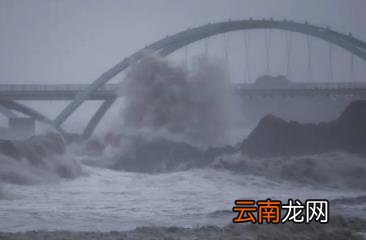 台风“梅花”对浙江影响几何 2022年台风梅花会影响浙江吗