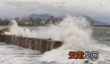 台风梅花对山东有影响吗 2022年台风梅花什么时候登录山东