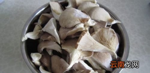 平菇一般煮几分钟能熟