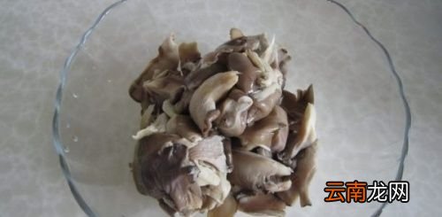 平菇一般煮几分钟能熟