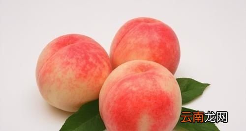 桃子能不能放到冰箱里