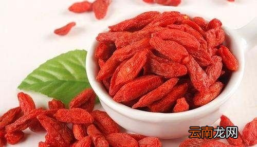 玫瑰蒲公英枸杞能一起泡吗